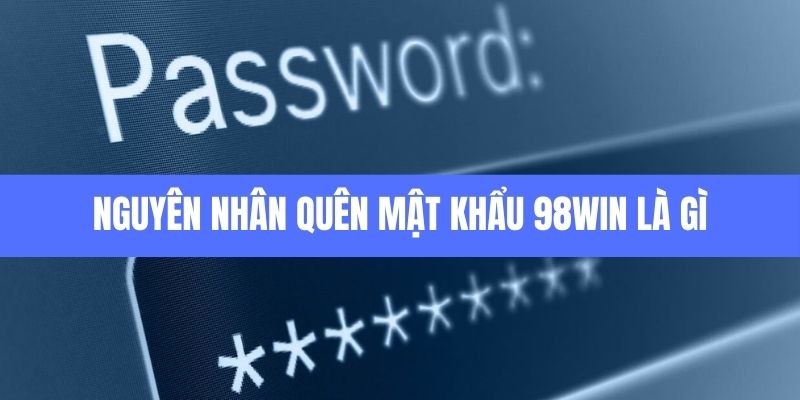 nguyên nhân quên mật khẩu 98win