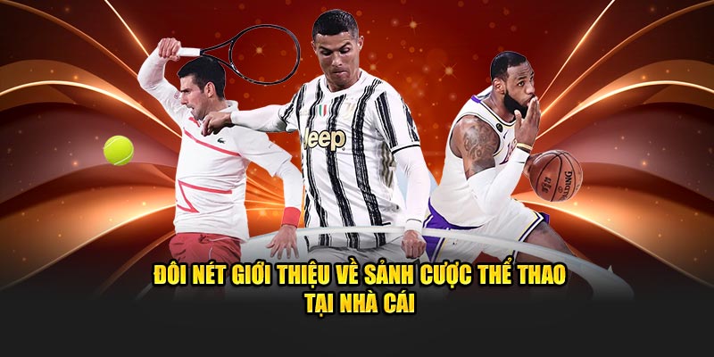 Đôi nét giới thiệu về sảnh cược hot hit tại nhà cái 98WIN